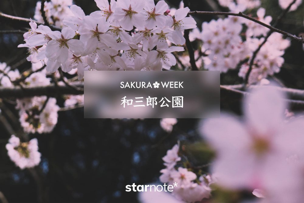 【SAKURA WEEK】和三郎公園の桜（長崎県長与町）