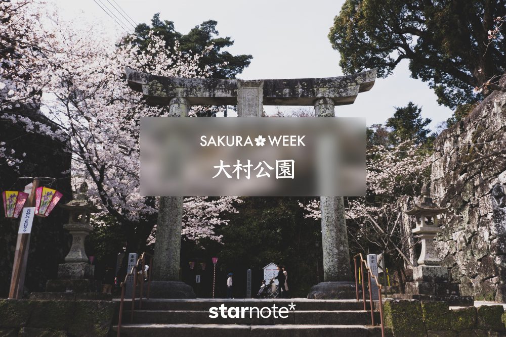 【SAKURA WEEK】大村公園の桜（長崎県大村市）