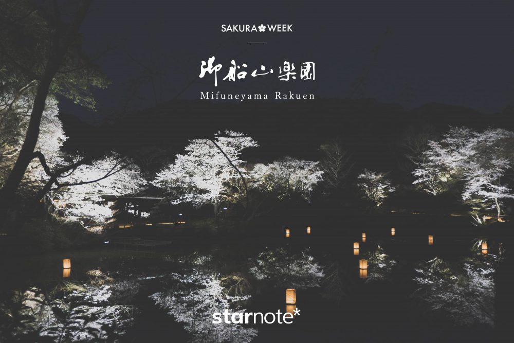 【SAKURA WEEK】佐賀県武雄市にある「御船山楽園」の夜桜ライトアップを見てきました。