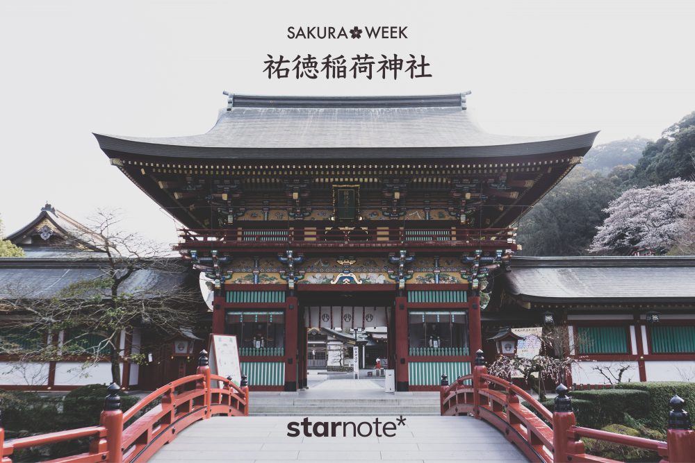 【SAKURA WEEK】祐徳稲荷神社の桜（佐賀県鹿島市）