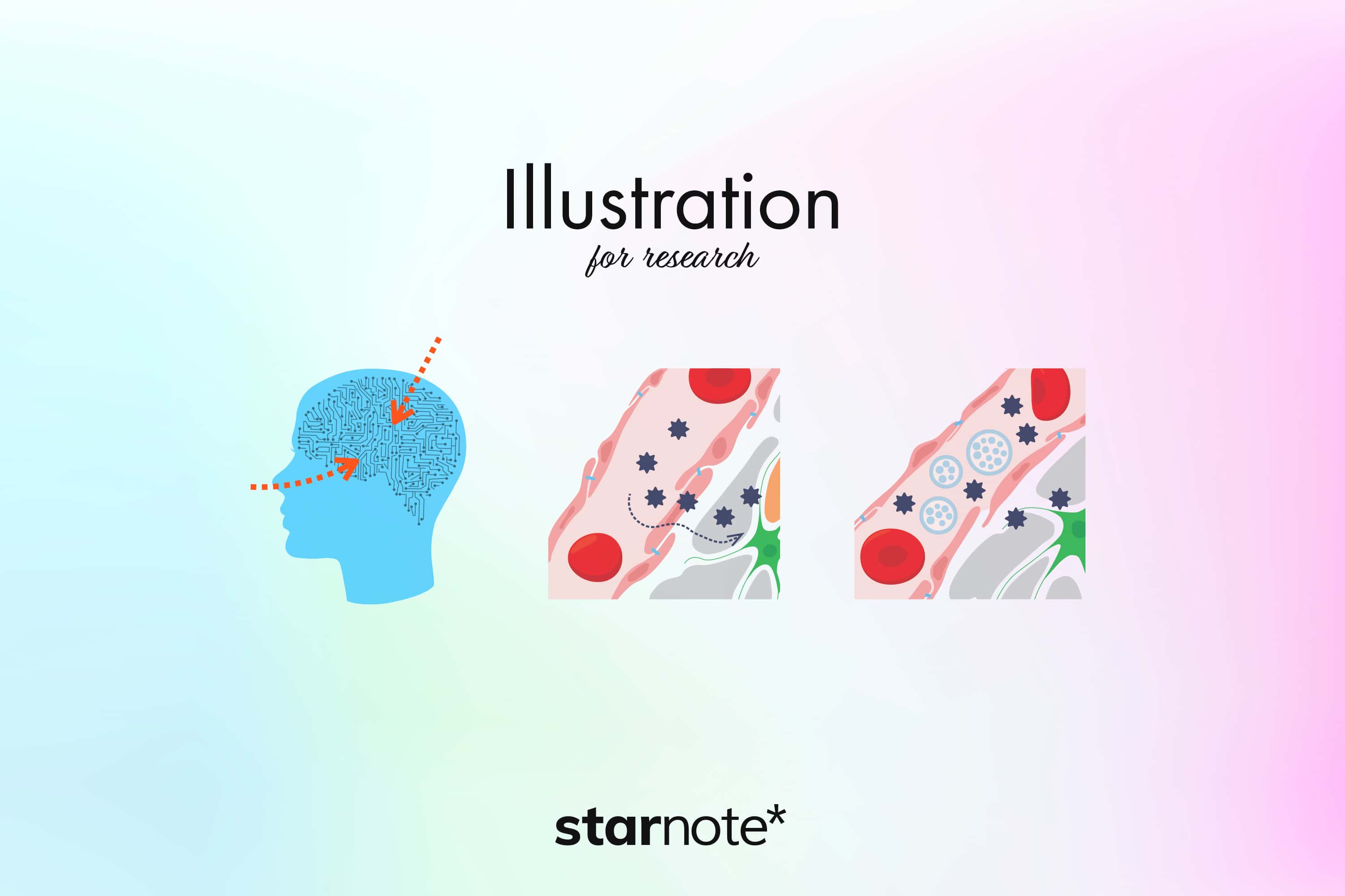 自分の研究をわかりやすく伝えるために 画力を鍛えよう Starnote
