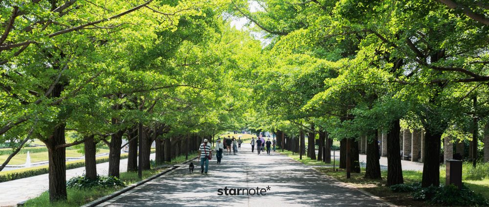 初夏の国営昭和記念公園と、新緑と紫陽花と。