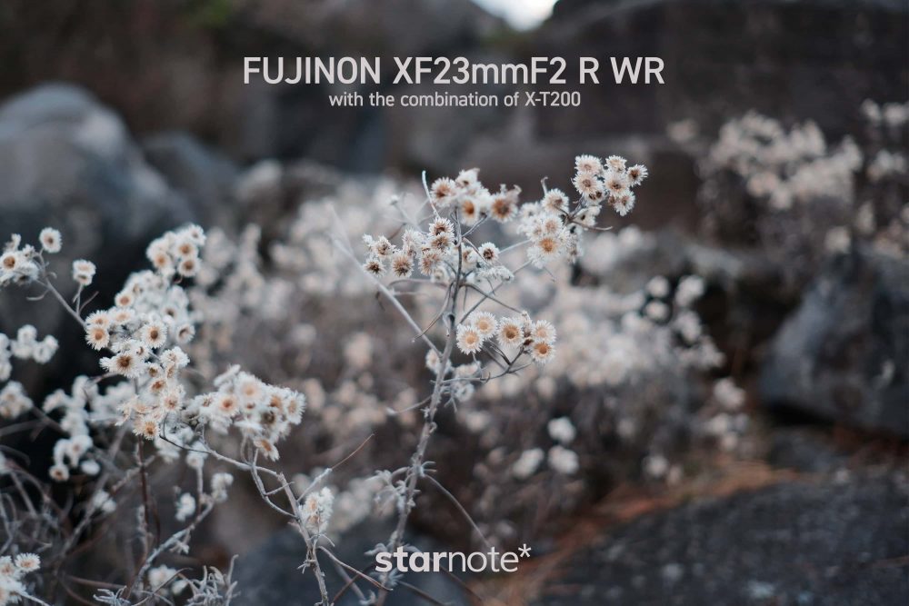 FUJINON XF23mmF2 R WR｜やわらかく、優しい色をした写真を撮る