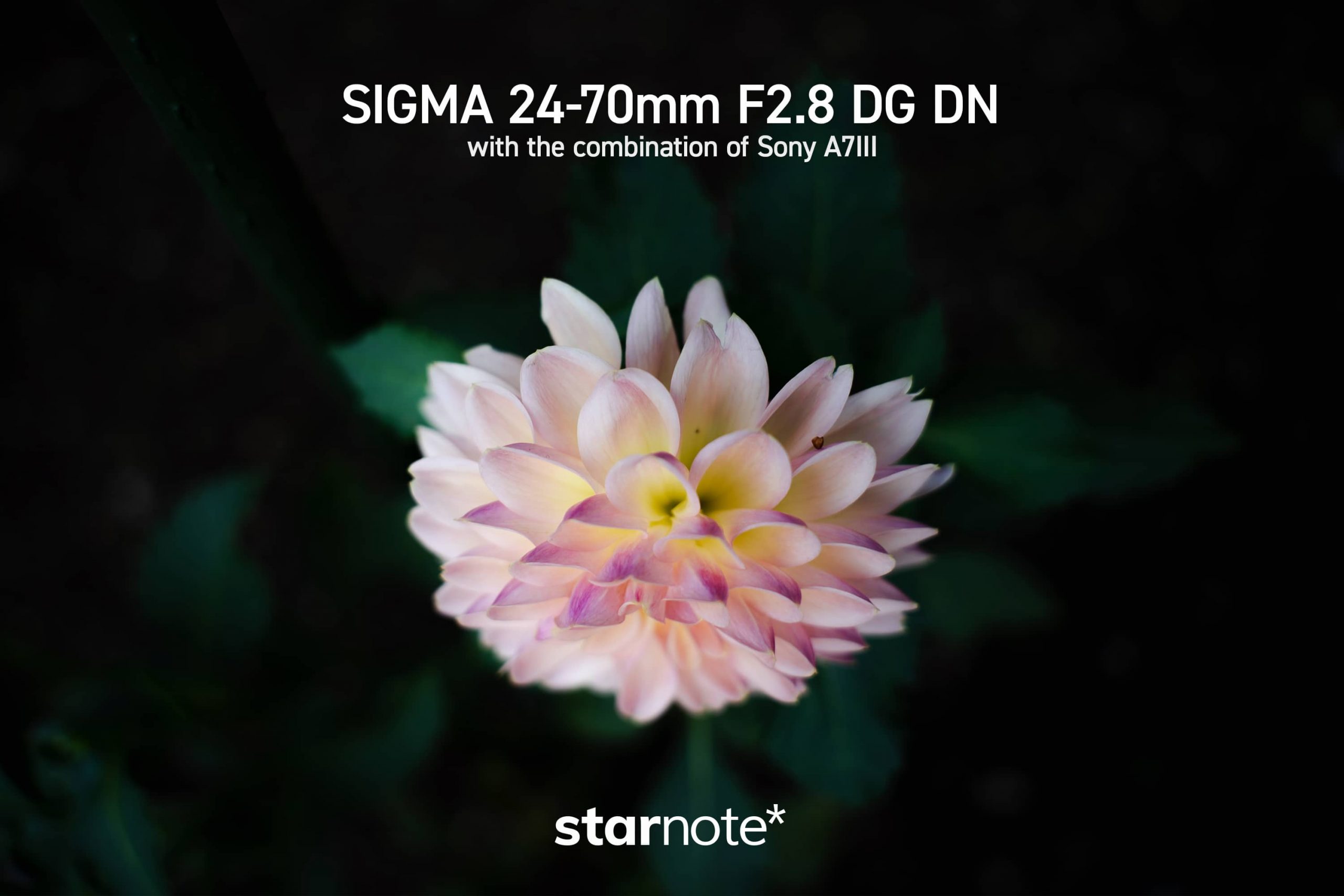 SIGMA 24-70mm F2.8 DG DN Art｜撮った瞬間、いいレンズ - starnote*