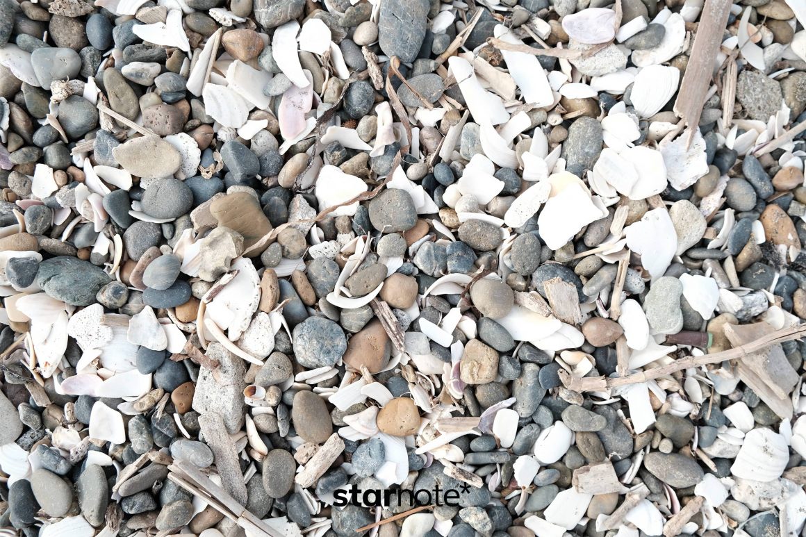 革新的医薬品 審査のポイント 厚生労働省は国際的な新薬の治験への日本の参加を増やす 倫理的な妥当