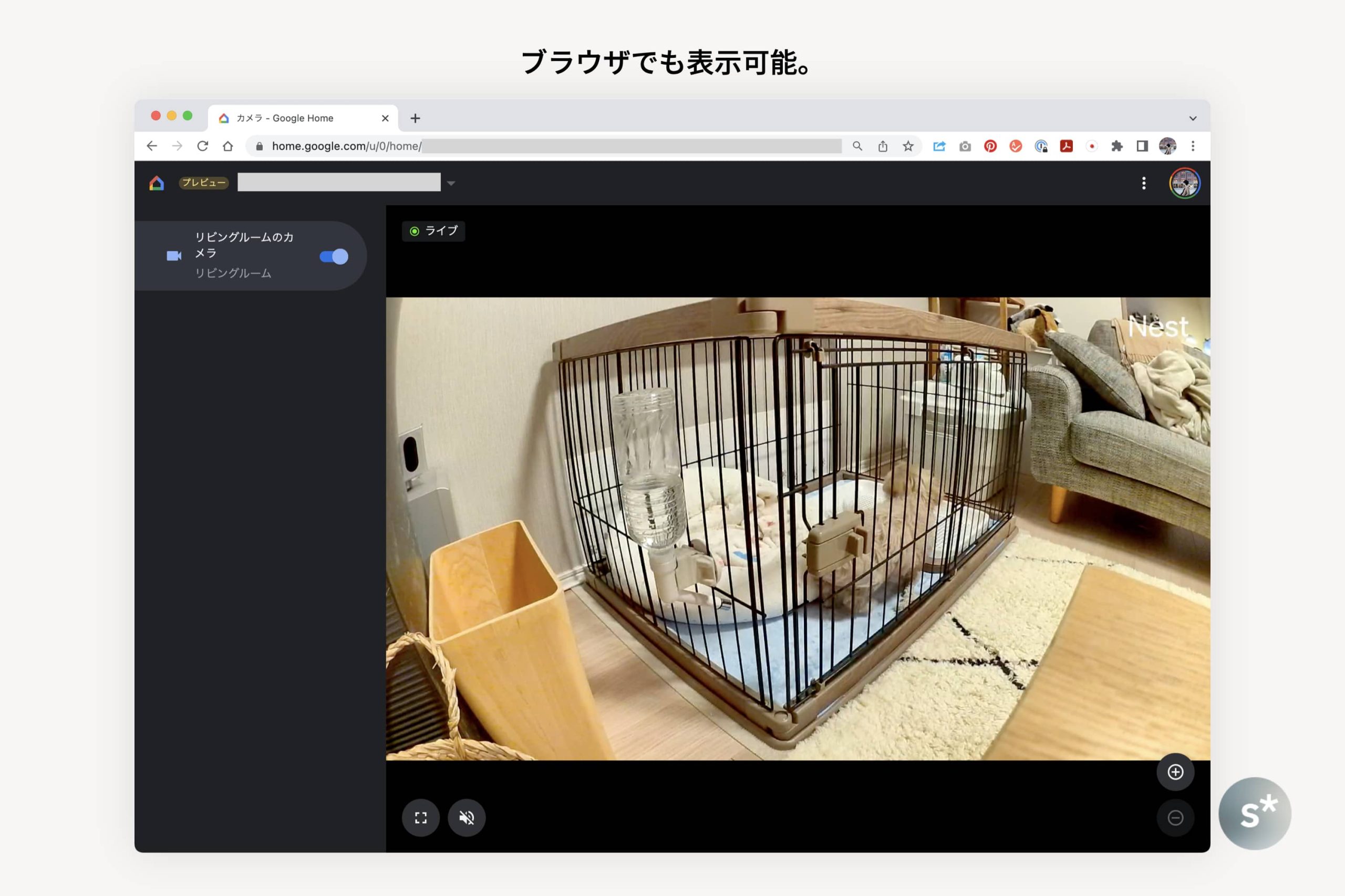 Google Nest Cam｜外出中も在宅勤務中も、ペットを見守る優秀