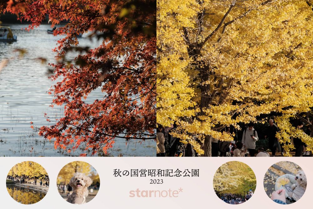 今年も国営昭和記念公園に秋を探しに行こう