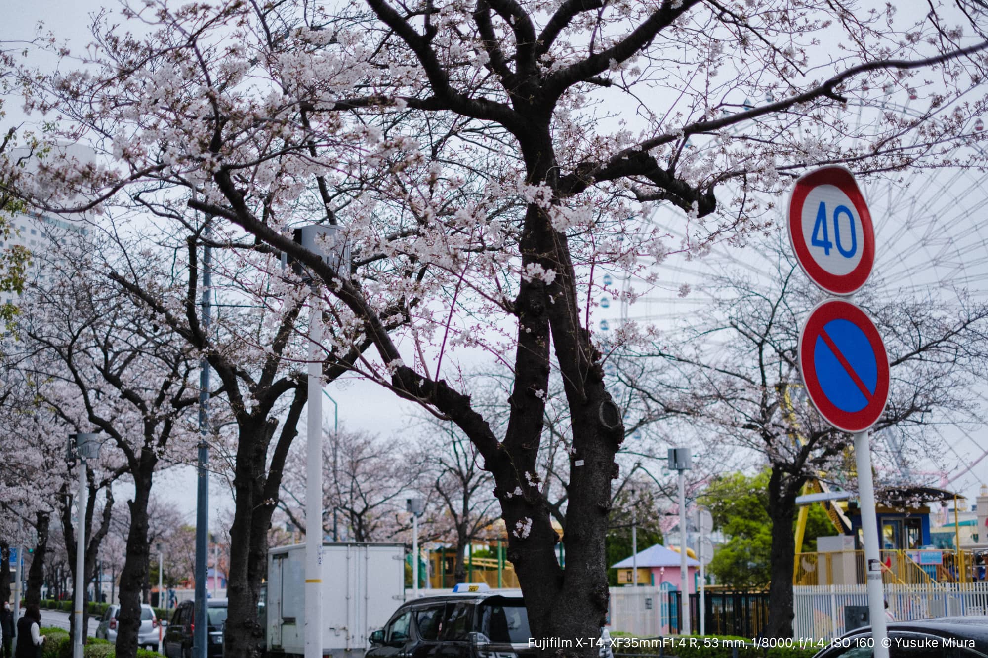 写真集　視点　バラ売り可能 新しいレンズを持って、桜が咲いてきたみなとみらいへ - starnote*
