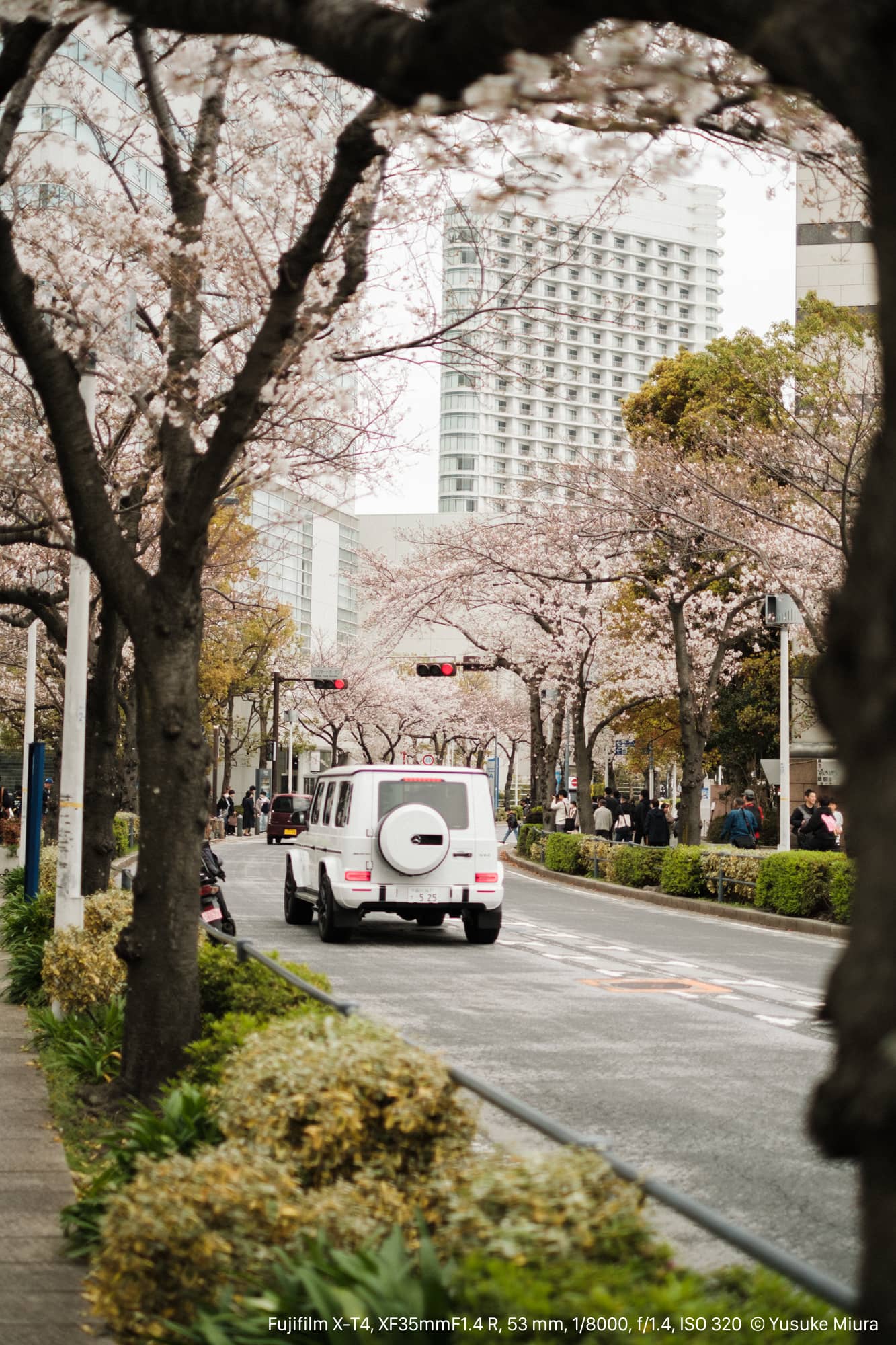 新しいレンズを持って、桜が咲いてきたみなとみらいへ - starnote*