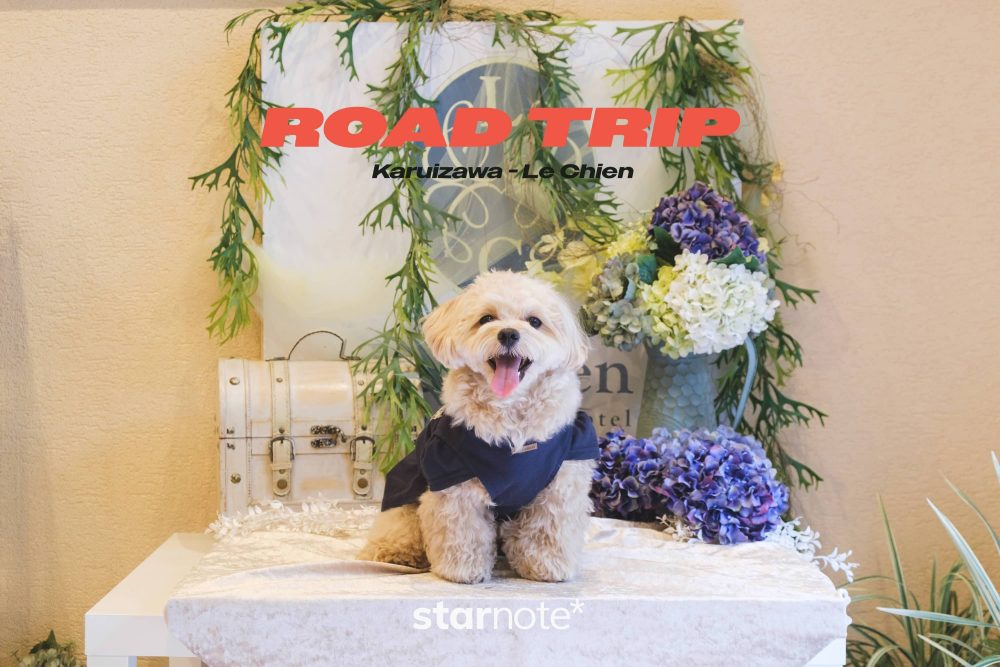 ROAD TRIP Karuizawa Vol. 2 / ルシアン旧軽井沢に犬と泊まる