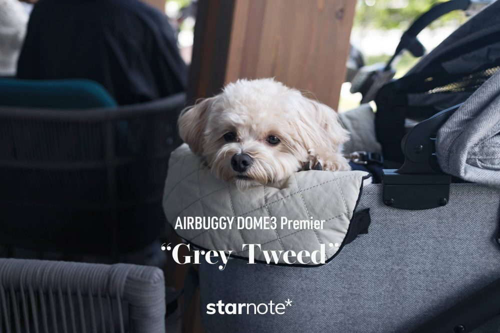 高級車を買いました（犬用）｜AIRBUGGY DOME3 Premier “Grey Tweed”