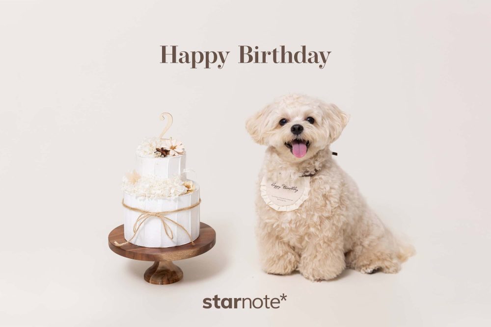 愛犬が2歳に。誕生日のお祝いをしました。