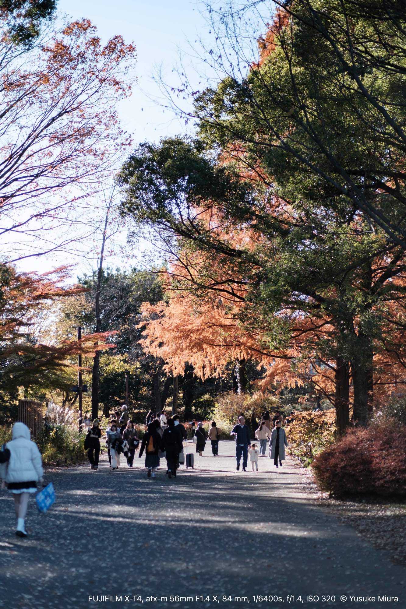 【日本の旅情シリーズ】 「飯豊の秋」 マーケタリー・木目象嵌 No.7 日本の旅情シリーズ】 「飯豊の秋」 マーケタリー・木目象嵌 No.7