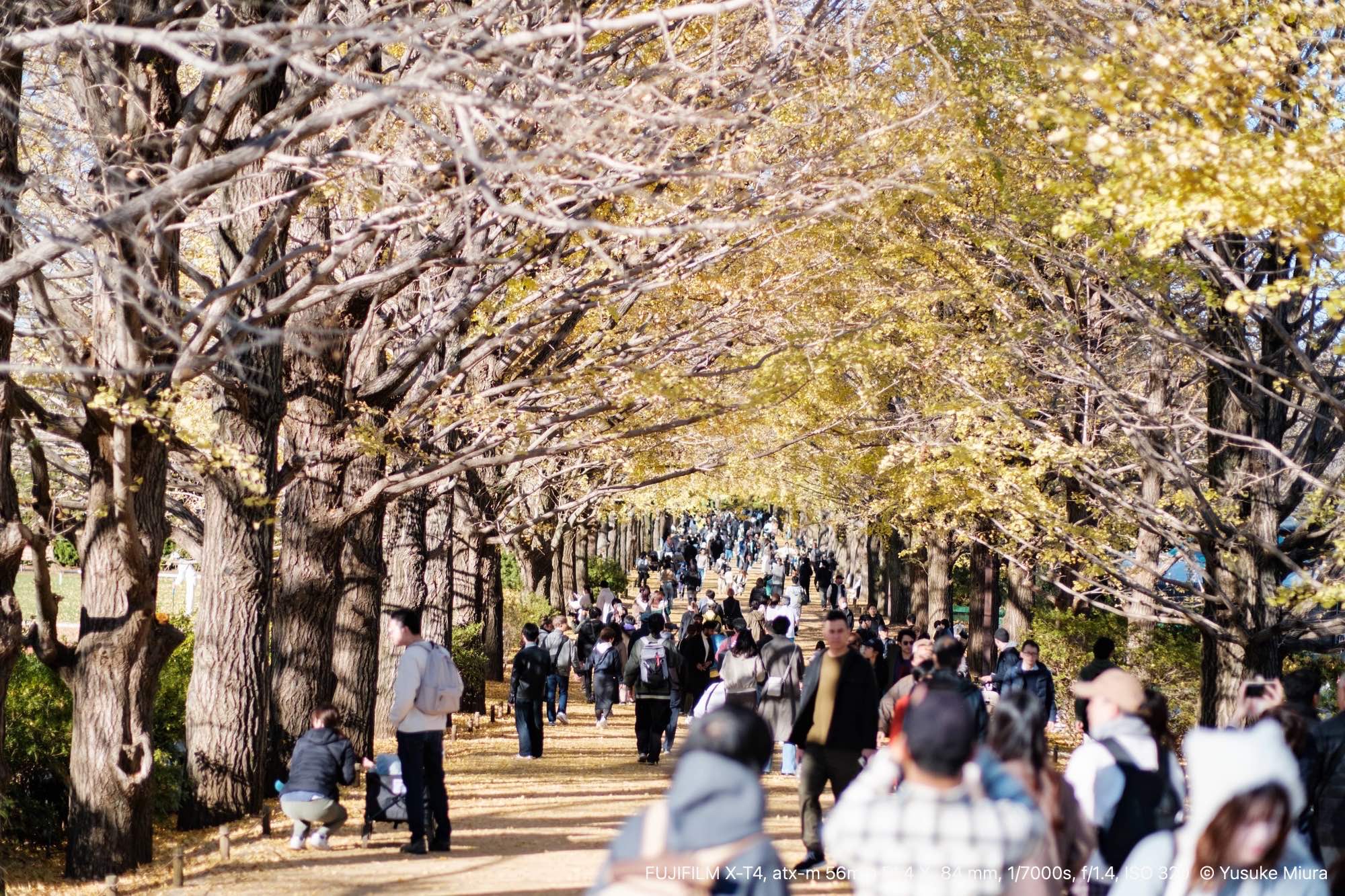 【日本の旅情シリーズ】 「大町の秋」 マーケタリー・木目象嵌 No.5 日本の旅情シリーズ】 「大町の秋」 マーケタリー・木目象嵌 No.5