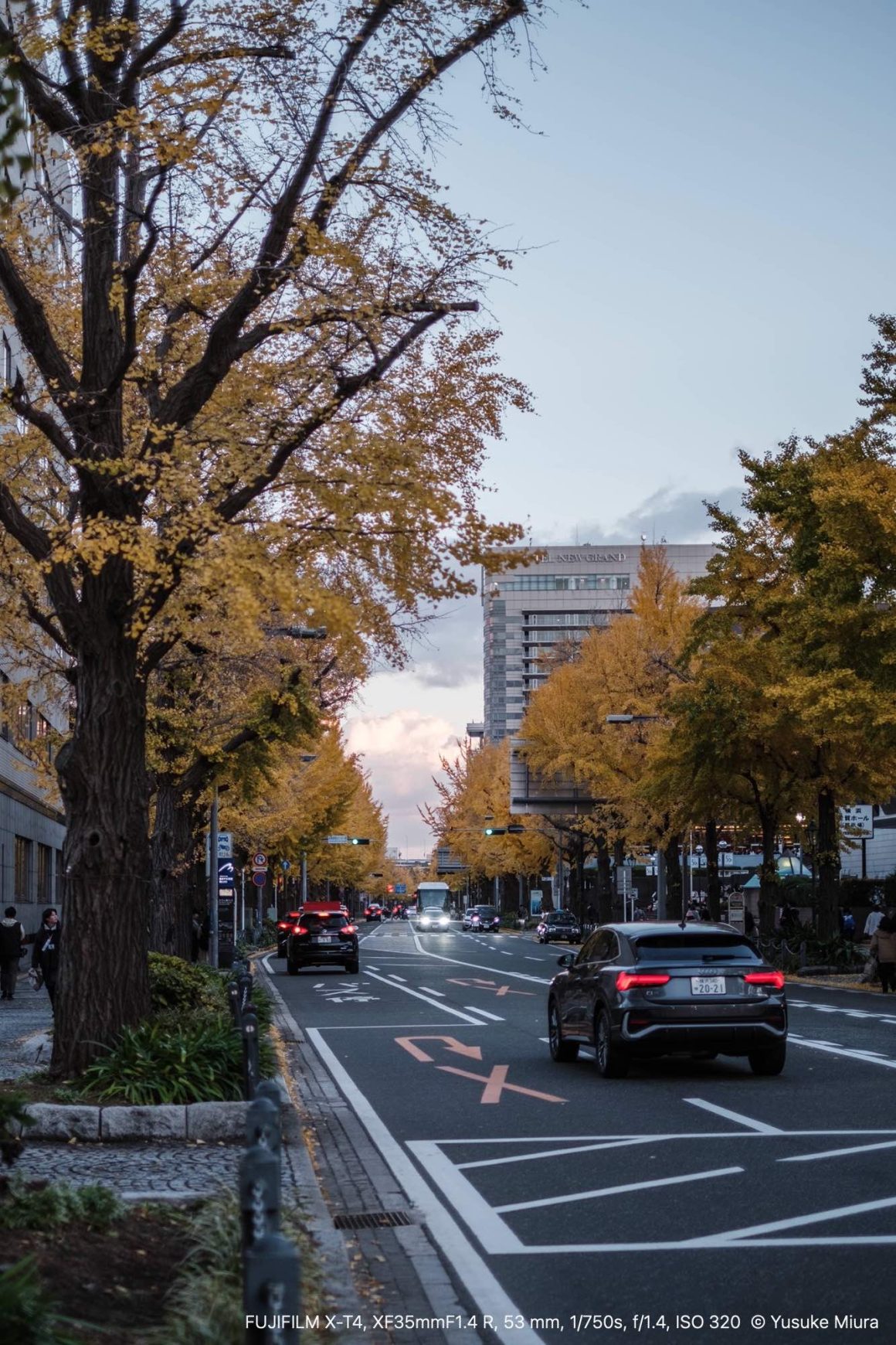 FUJINON XF35mmF1.4 R｜夕暮れの横浜紅葉さんぽ - starnote*