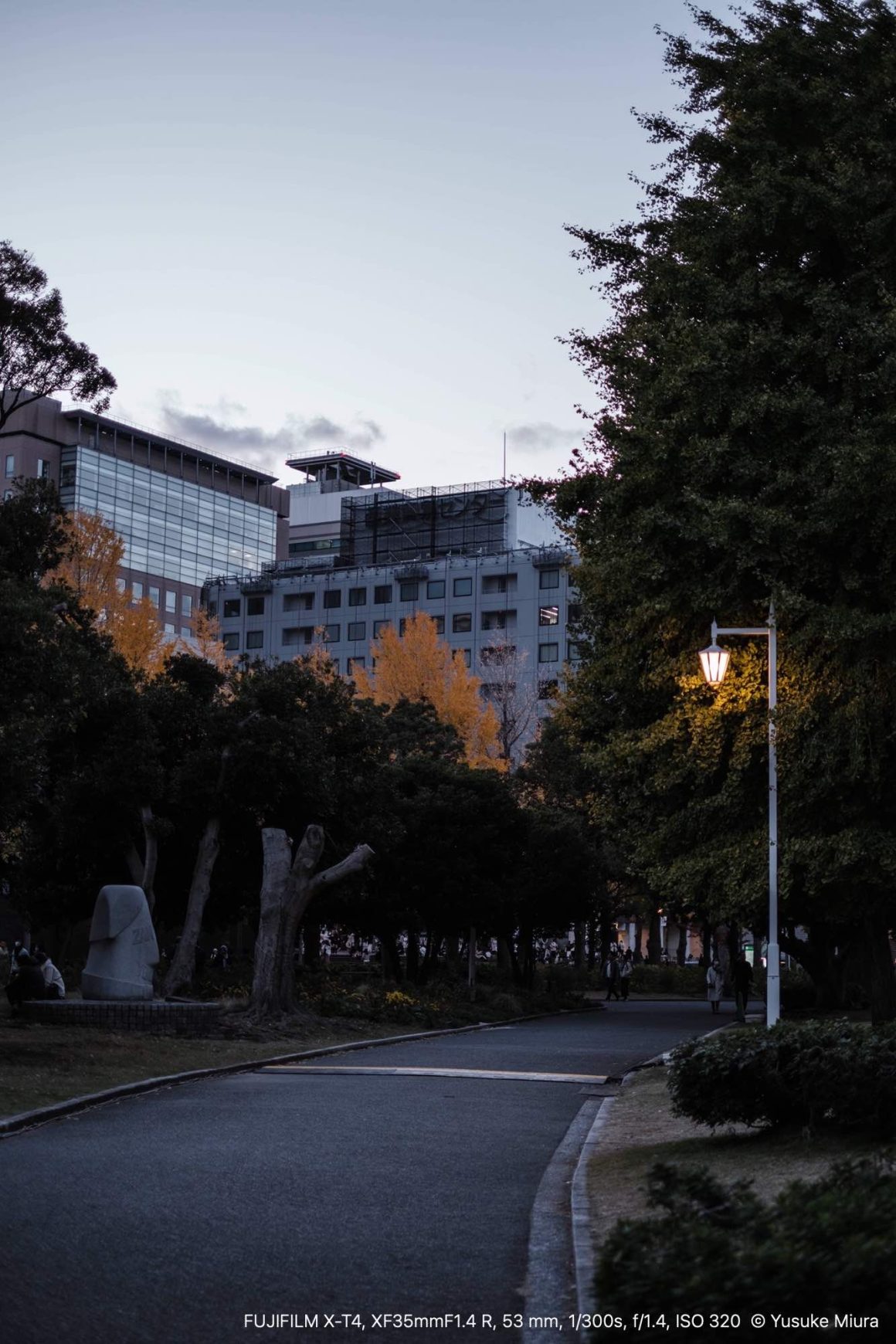 warm-autumn-day-park-