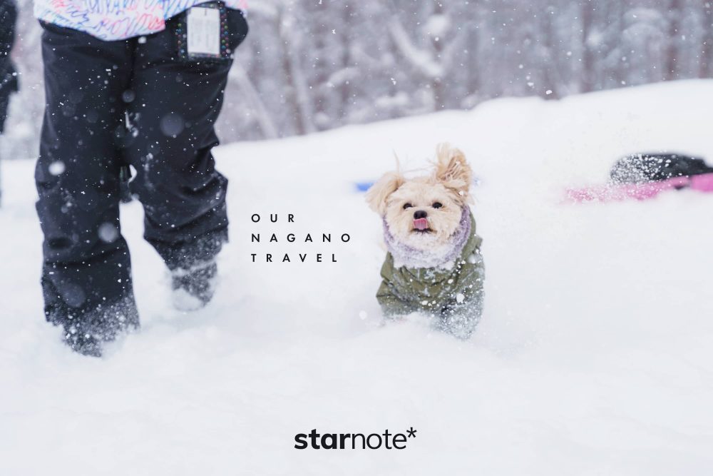 今年も犬と一緒にスキー場に行こう。大雪の黒姫高原へ。