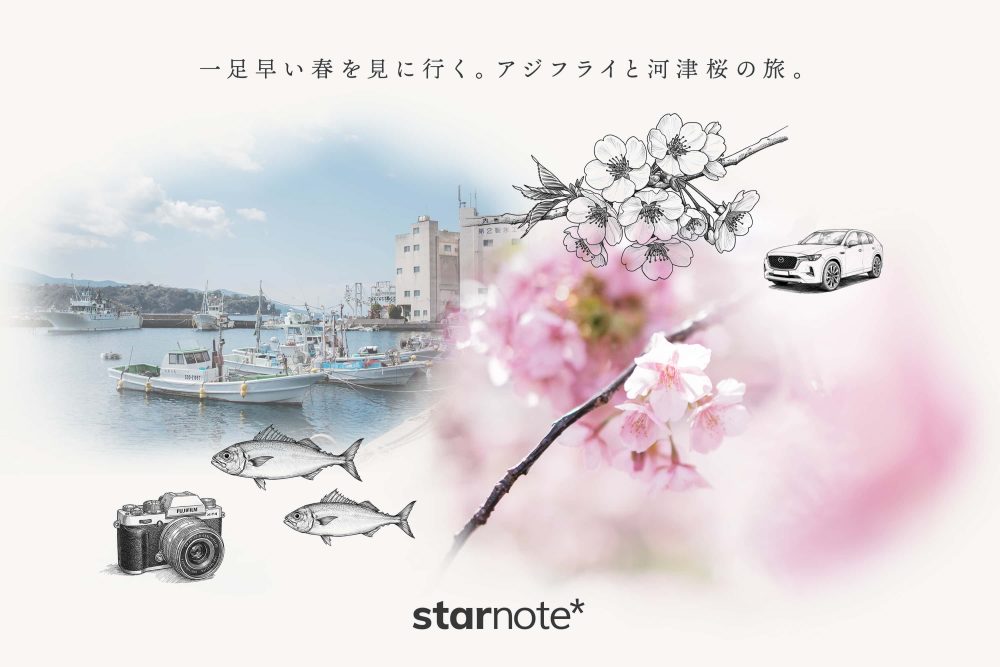 一足早い春を見に行く。アジフライと河津桜の旅。