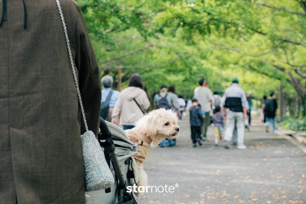 今年も、昭和記念公園の秋が始まった｜FUJIFILM X-T4