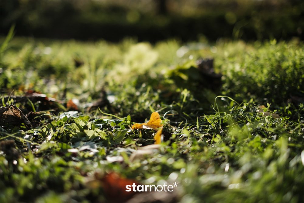 「書く」とは、自分の内面と向き合う技術である。眠っている言葉を拾いに行こう。